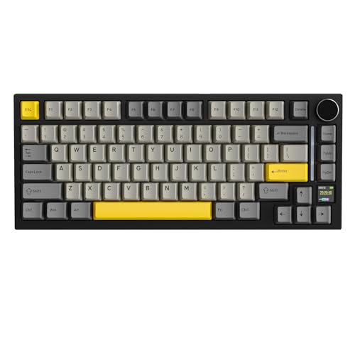 41VfZiwvCiL._SL500_.jpg