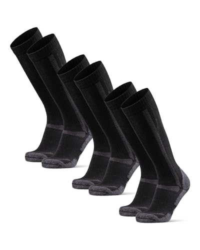 31T5-5EkYBL._SL500_.jpg