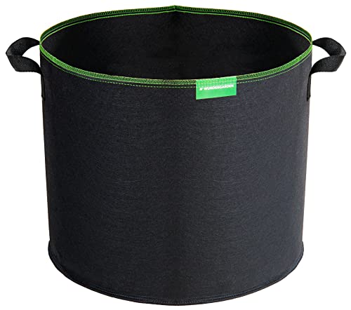 41l-0kdlRhL._SL500_.jpg